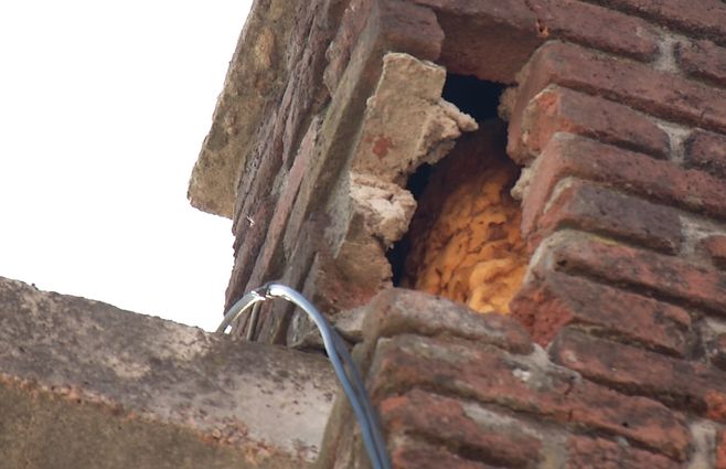 CHIMENEA---MURCIÉLAGOS-.jpg