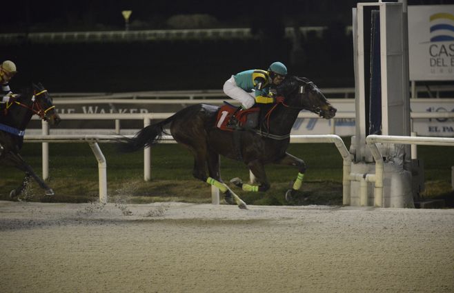 Soapy Sky turf (1).jpg