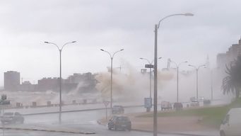estarian dadas las condiciones para la ocurrencia del temporal de santa rosa, dijo nubel cisneros
