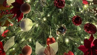 el pronostico de nubel cisneros para las fiestas: un fin de ano mas caluroso que la navidad y sin lluvias