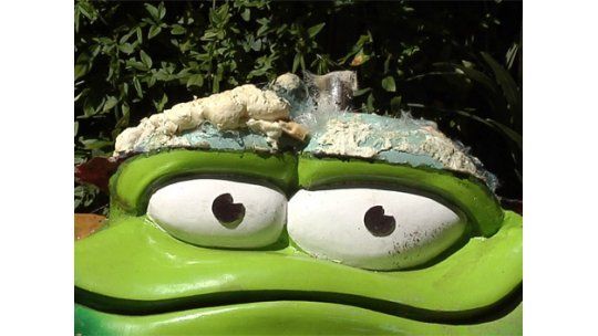 Cuatro adolescentes dañaron escultura del sapo Ruperto