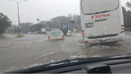 alerta lluvia montevideo
