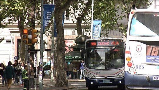 omnibus