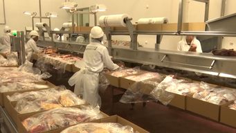 exportaciones de carnes sumaron mas de us$ 200 millones en enero