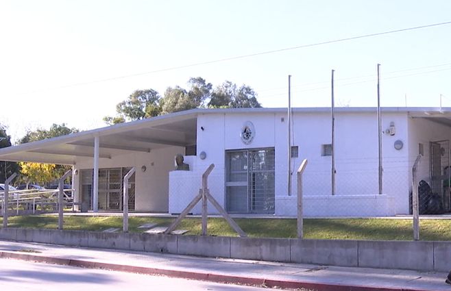 jardín-millán-ratas