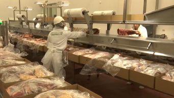 carne a china: inac presento argumentos sobre la relevancia de la exportacion y de la cadena carnica