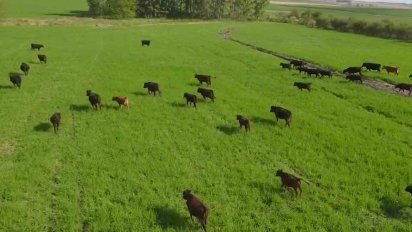 gremiales rurales plantean renunciar a la devolucion de impuestos y donarlo al fondo coronavirus