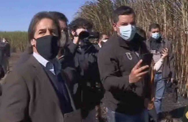 lacalle-pou-caña.jpg