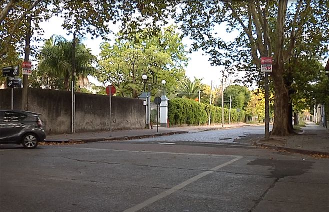 rapiña-telo.jpg