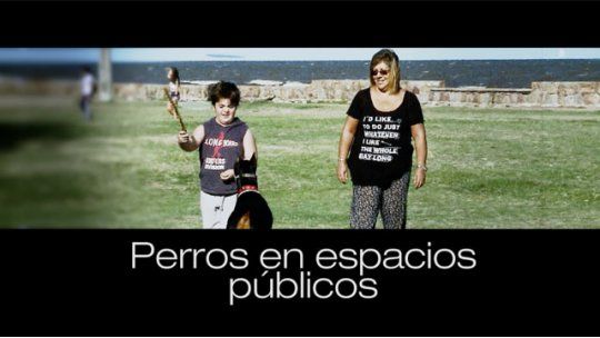 perros en espacios publicos