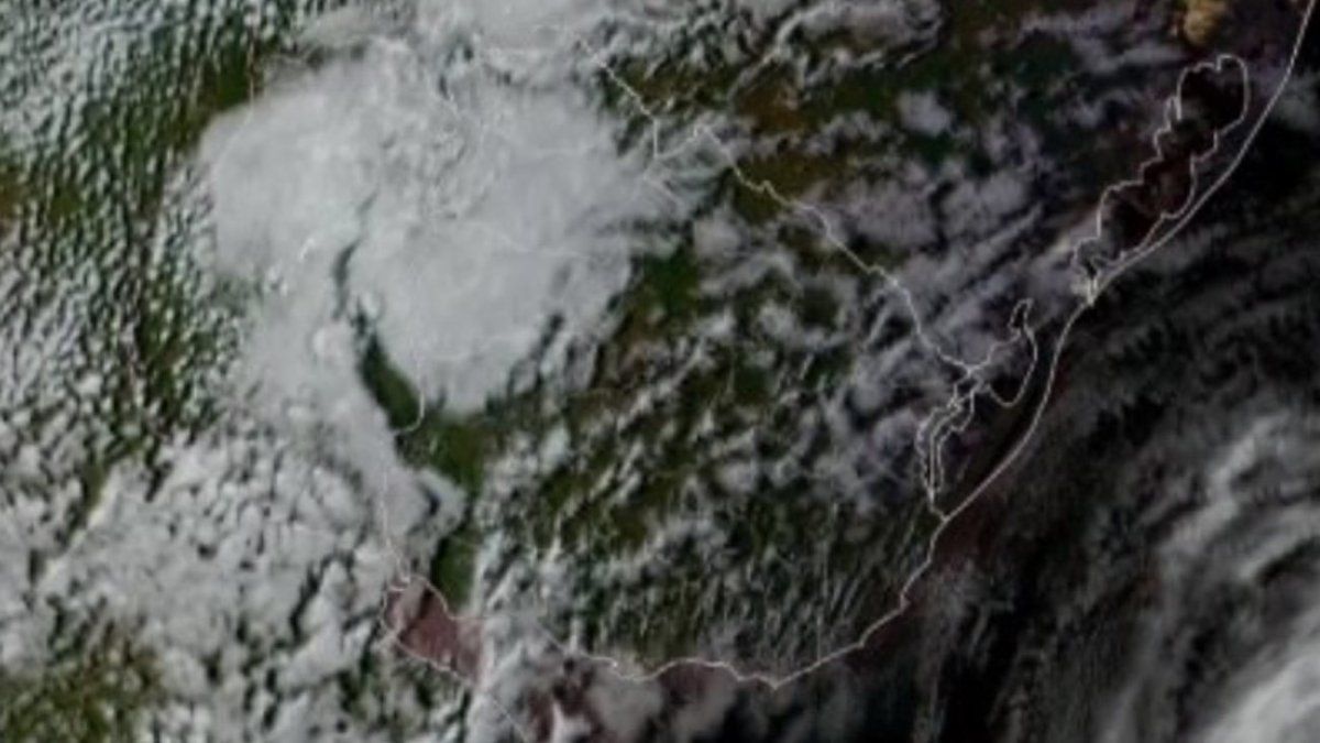 Nubel Cisneros llamó a 