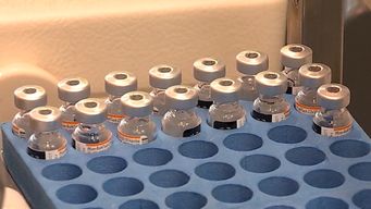 suprema corte condeno al msp a dar informacion de fallecidos vacunados contra covid-19