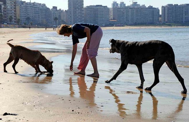 tiempo-clima-rambla-playa-perros.jpg
