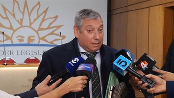 para enciso, inversion en maria dolores es positiva en la medida que le incorporemos valor agregado