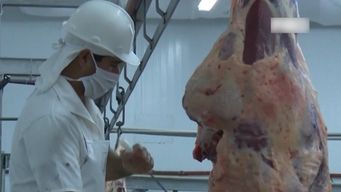 carniceros acuerdan con frigorificos bajar el precio de algunos cortes