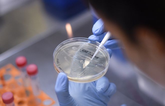 CORONAVIRUS LABORATORIO AFP.jpg