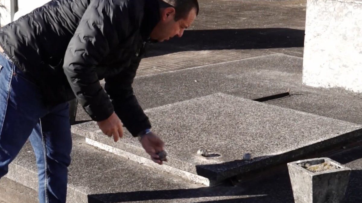 Cementerio de Paysandú fue vandalizado durante el fin de semana: hubo hurtos en el sector más antiguo