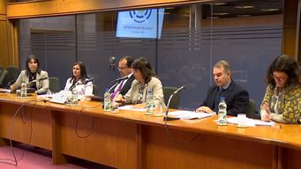 caja de profesionales solicito que no se modifiquen articulos fundamentales para su funcionamiento