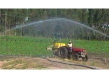 Agua contaminada provocó que productores familiares perdieran sus cosechas