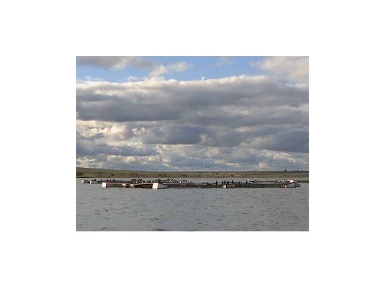 Discovery Channel emitirá un programa sobre productos uruguayos