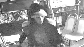 delincuente de 22 anos fue condenado a 7 de carcel por rapinas a omnibus en la zona de gruta de lourdes