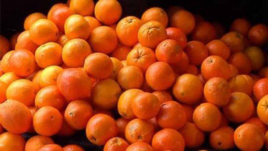 naranjas en la feria