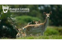 Entraron al Lecocq para liberar animales y resultó muerto un ciervo