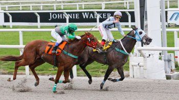 Subrayado | MICRO TURF 14 D MAY