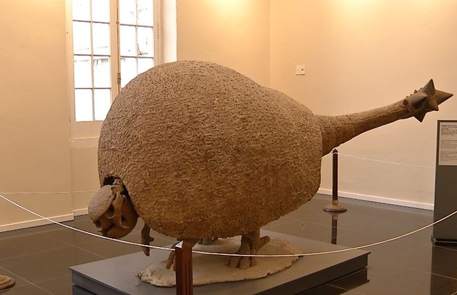 gliptodonte-mulita-gigante-museo-historia-natural.jpg