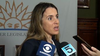 votaron venias de argimon y ache: mi granito de arena es no responder agravios, dijo la exvicecanciller