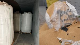 incautan mas de 4 toneladas de cocaina en holanda; habia sido transbordada en uruguay