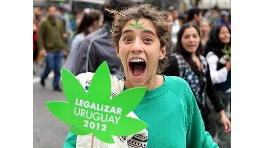 Marihuana para salvarse de la pasta base, la nueva tesis oficial