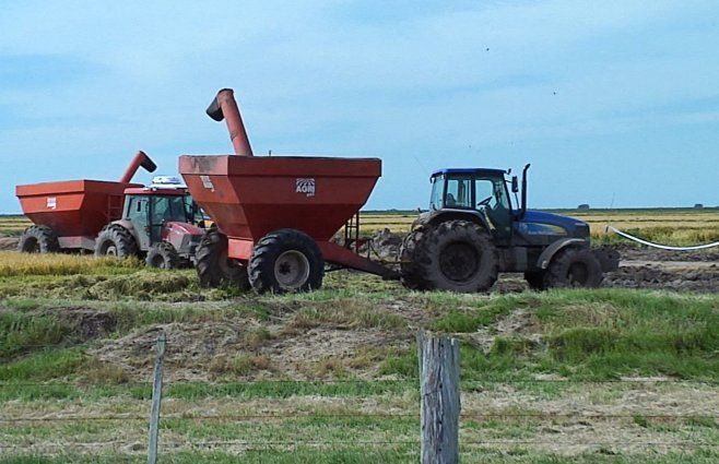 Néstor Santos, secretario regional de Cebollatí de la Asociación de Cultivadores de Arroz.