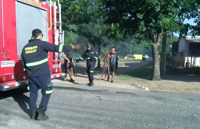 Foto: Subrayado. Incendio en Las Piedras, Canelones.