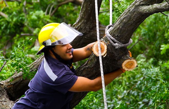 Foto: MInisterio del Interior
