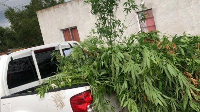 cuatro bocas de venta de droga cerradas y cuatro personas condenadas en treinta y tres