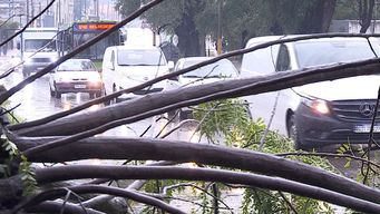 cayo en una hora lo que llueve en un mes y genero problemas principalmente en el oeste