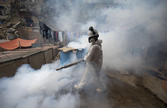 PERÚ- FUMIGACIÓN-DENGUE.jpg