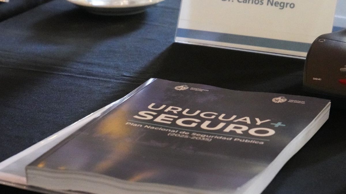 Una a una, estas son las medidas del nuevo plan de seguridad y sus prioridades