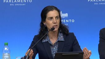 economia presento la rendicion de cuentas en el parlamento; arbeleche destaco baja inflacion