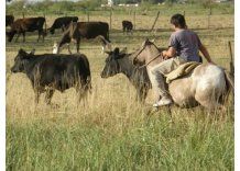 Por decreto, el gobierno laudó salario de trabajadores rurales