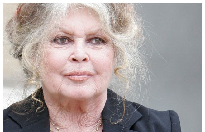 Bardot se retiró de la industria del entretenimiento en 1973. Actuó en 47 películas, también en varios musicales y grabó más de 60 canciones