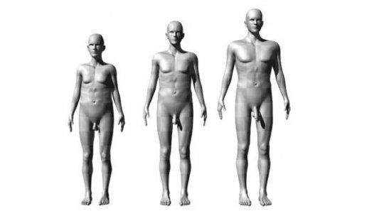 El ideal: pene de 13 centímetros en relax y 1,87 metros de altura