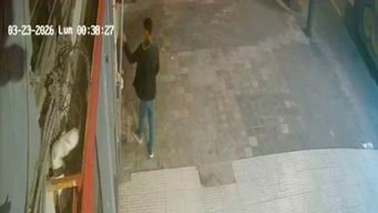 ladrones cortaron la luz de toda una cuadra en ciudad vieja y robaron un comercio; fiscalia los dejo libres