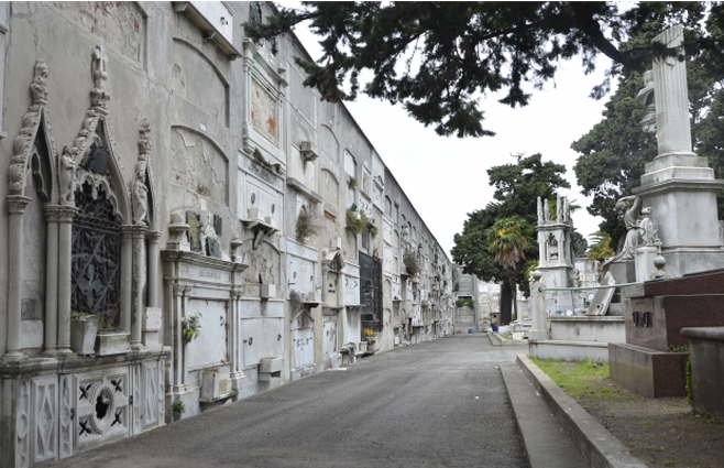 Foto: Intendencia de Montevideo