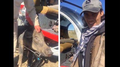 video: cavani salio de caza en salto y genero reacciones encontradas