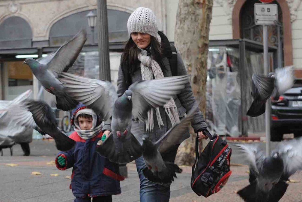 Sábado frío, con sensaciones térmicas bajas: mirá el pronóstico para el fin de semana