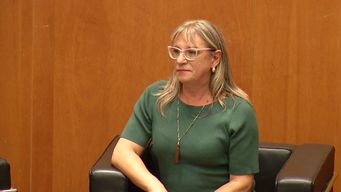 colorados plantean convocar a collette spinetti al parlamento: muy graves las consideraciones de su sector, dijo schipani