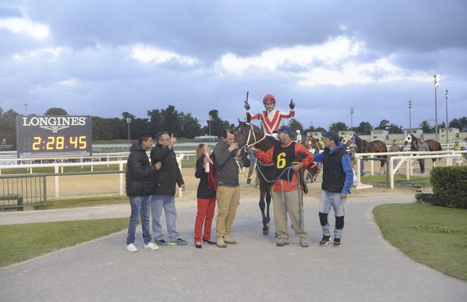 cerro largo turf (2).jpg