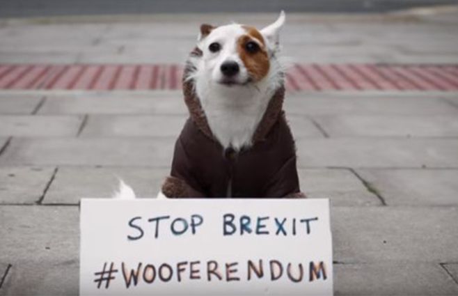 wooferendum-perros-contra-el-brexit-TWITTER.jpg